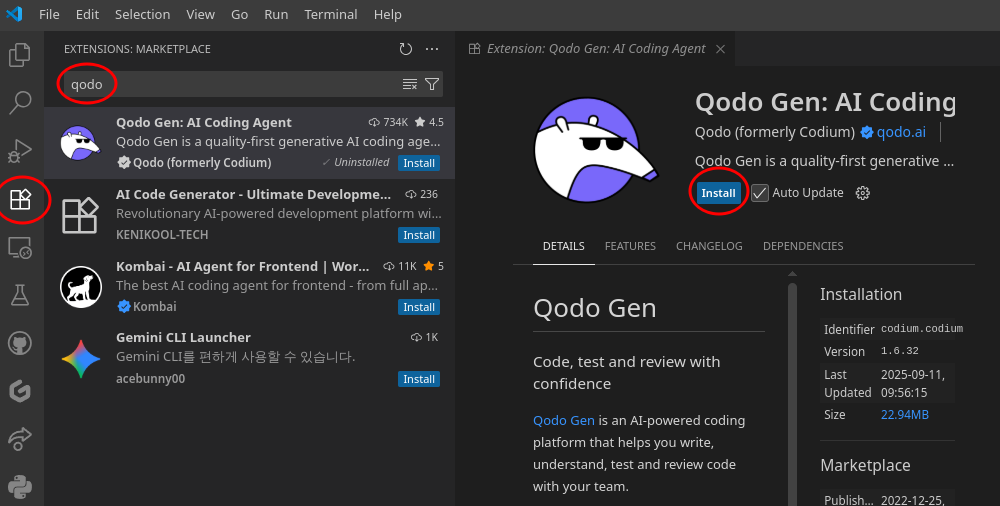 h:480 center Qodo extension